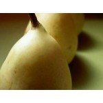 ΑΧΛΑΔΙΑ ΚΟΣΙΑ