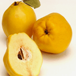 ΚΥΔΩΝΙΑ ΜΕΓΑΛΟΚΑΡΠΗ