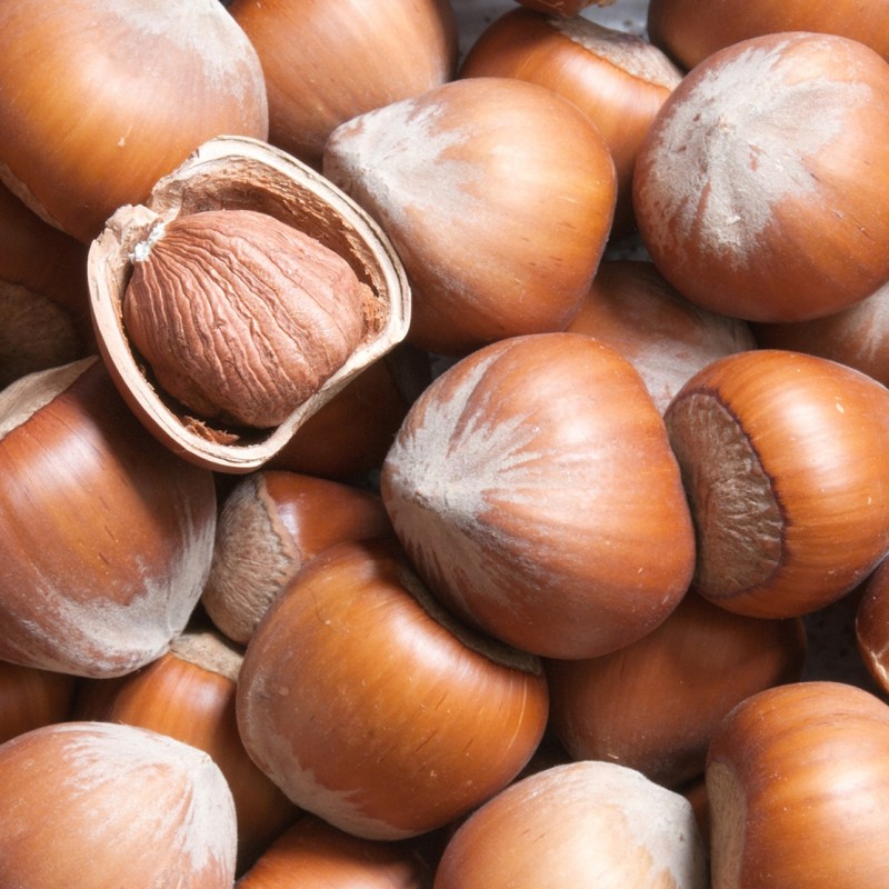 ΦΟΥΝΤΟΥΚΙΑ EXTRA ΓΙΑΓΛΙ