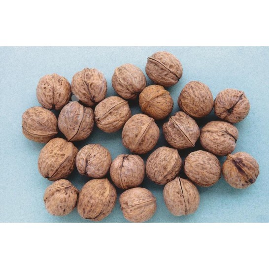 ΚΑΡΥΔΙΑ ΡΟΝΤΕ ΝΤΕ ΜΟΝΤΙΝΙΑΚ