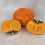 ΛΩΤΟΣ ΤΣΙΡΟ ΠΛΑΚΕ