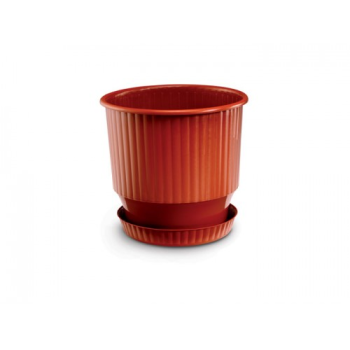 ΓΛΑΣΤΡΑ IONIAN ROUND