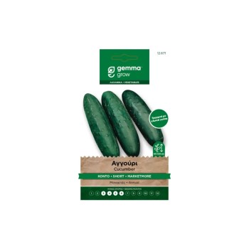 ΑΓΓΟΥΡΙ ΚΟΝΤΟ