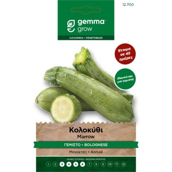 ΚΟΛΟΚΥΘΙ ΓΕΜΙΣΤΟ