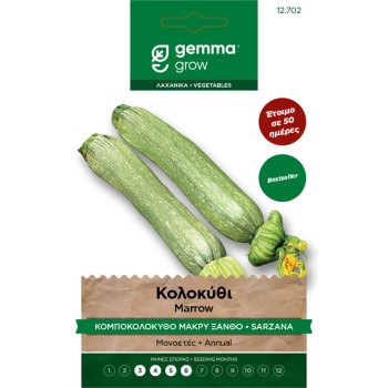 ΚΟΜΠΟΚΟΛΟΚΥΘΟ ΜΑΚΡΥ ΞΑΝΘΟ