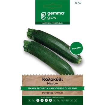 ΚΟΛΟΚΥΘΙ ΜΑΚΡΥ ΣΚΟΥΡΟ