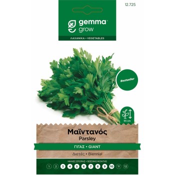 ΜΑΙΝΤΑΝΟΣ ΓΙΓΑΣ