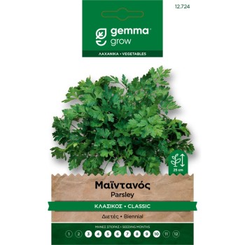 ΜΑΙΝΤΑΝΟΣ ΚΛΑΣΣΙΚΟΣ